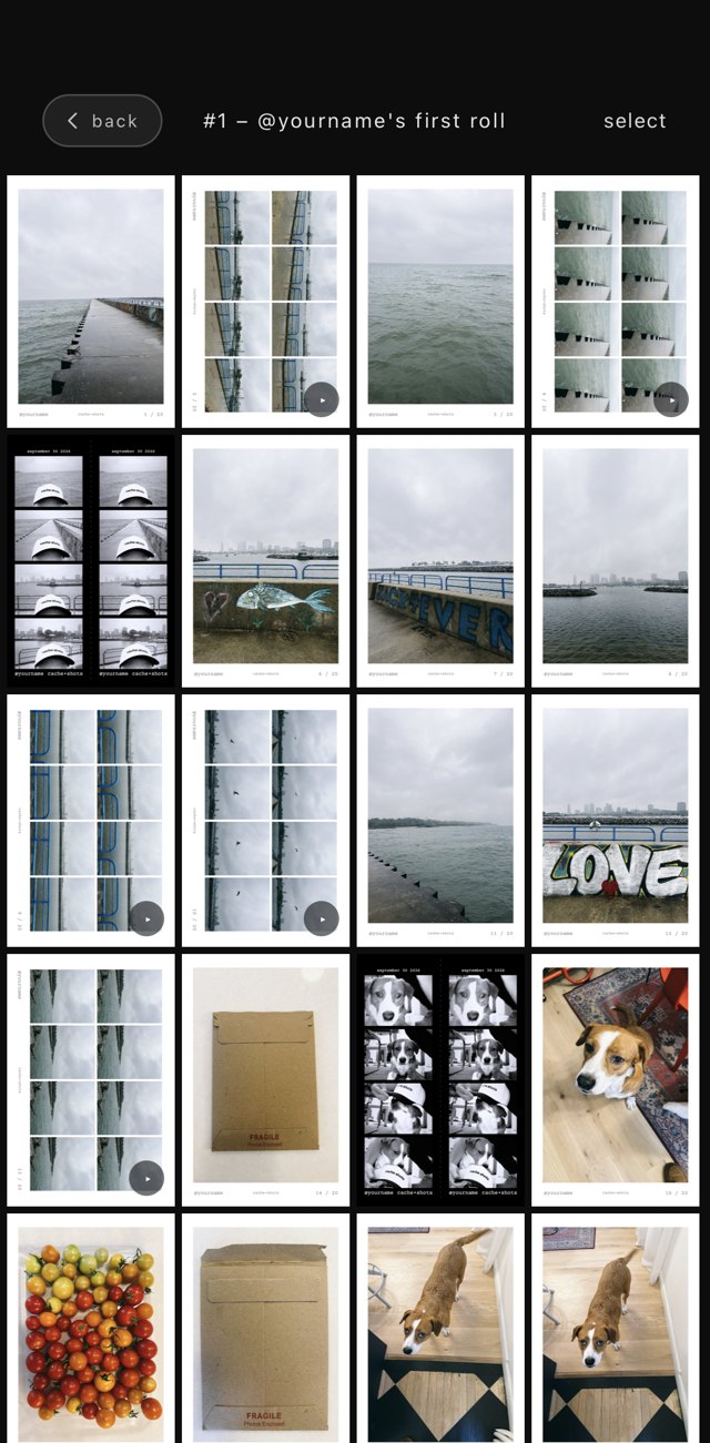 the digital negatives screen: a grid of every shot from the roll